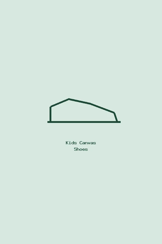 Kids Canvas Shoes