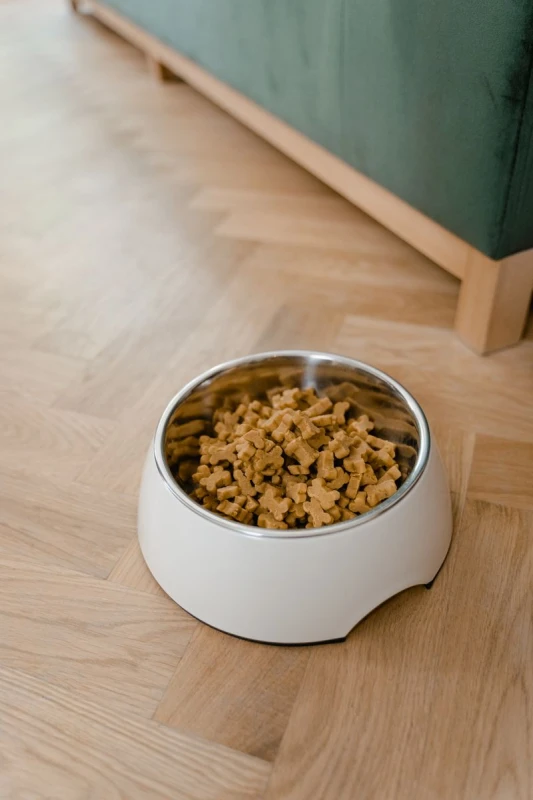 Puppy Formula Dog Food